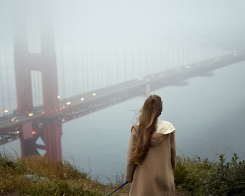 Suicidal Survivors / Golden Gate (Image: Nick Bondarev @ Pexels